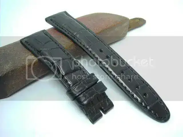 PORTUGUEacuteSALLIGATORNEGRO.webp