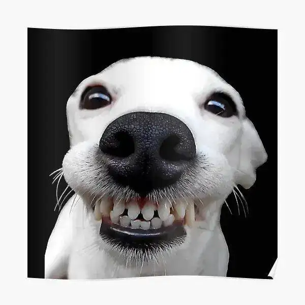 poster,504x498,f8f8f8-pad,600x600,f8f8f8.webp