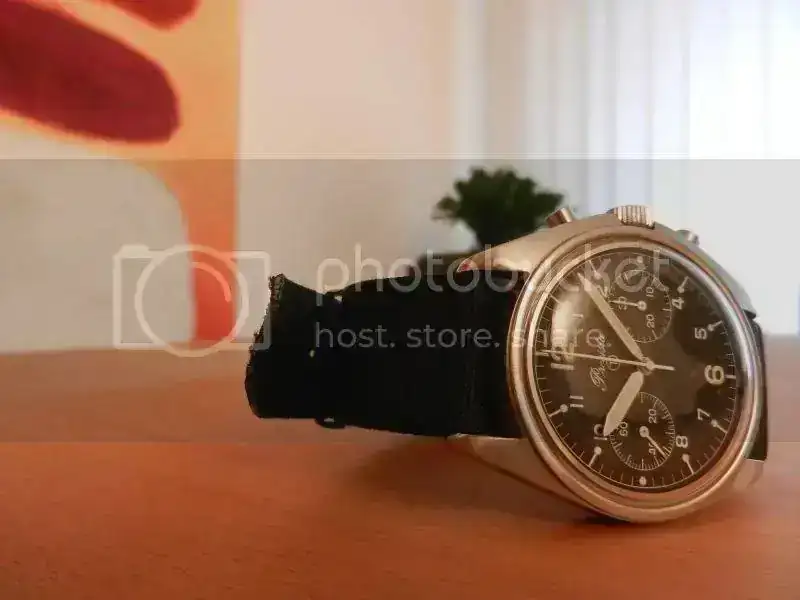 Precista1.webp