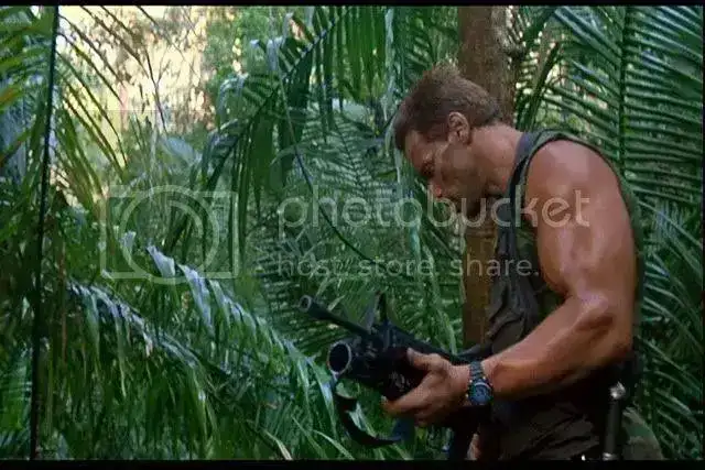 Predator2.webp