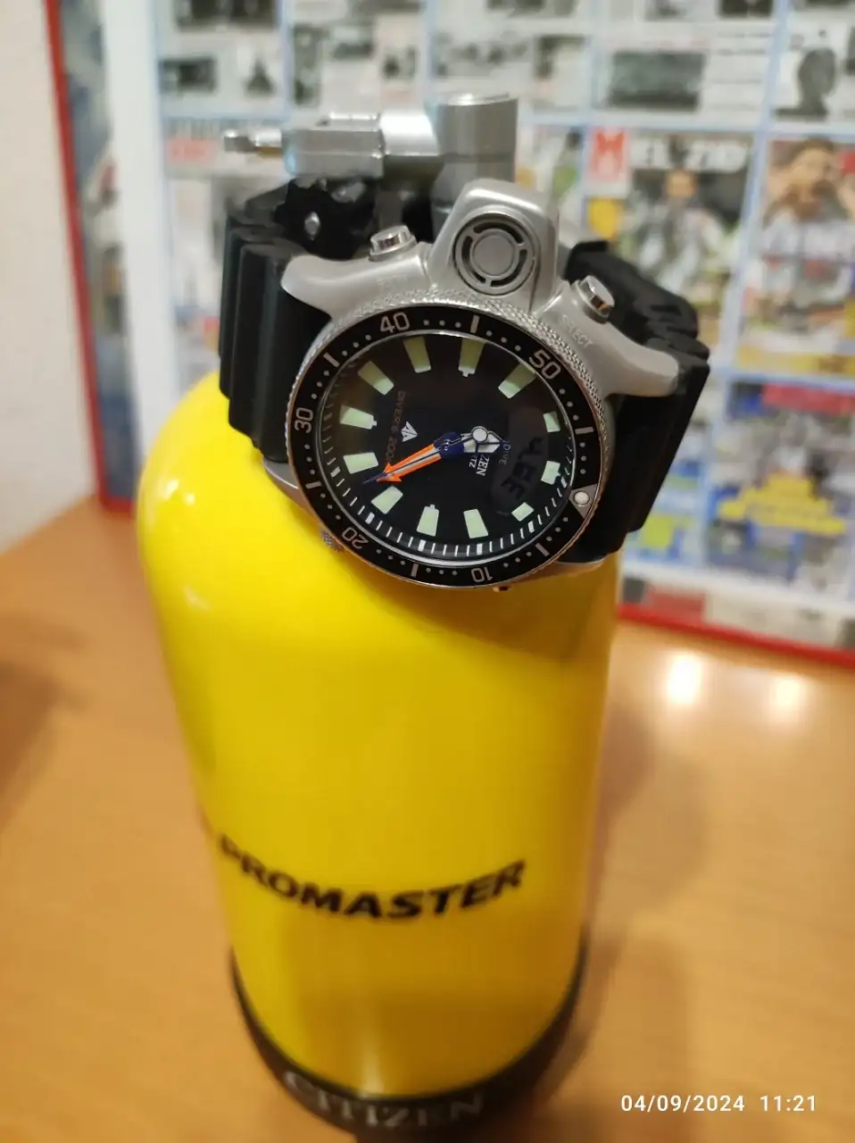Promaster002.webp