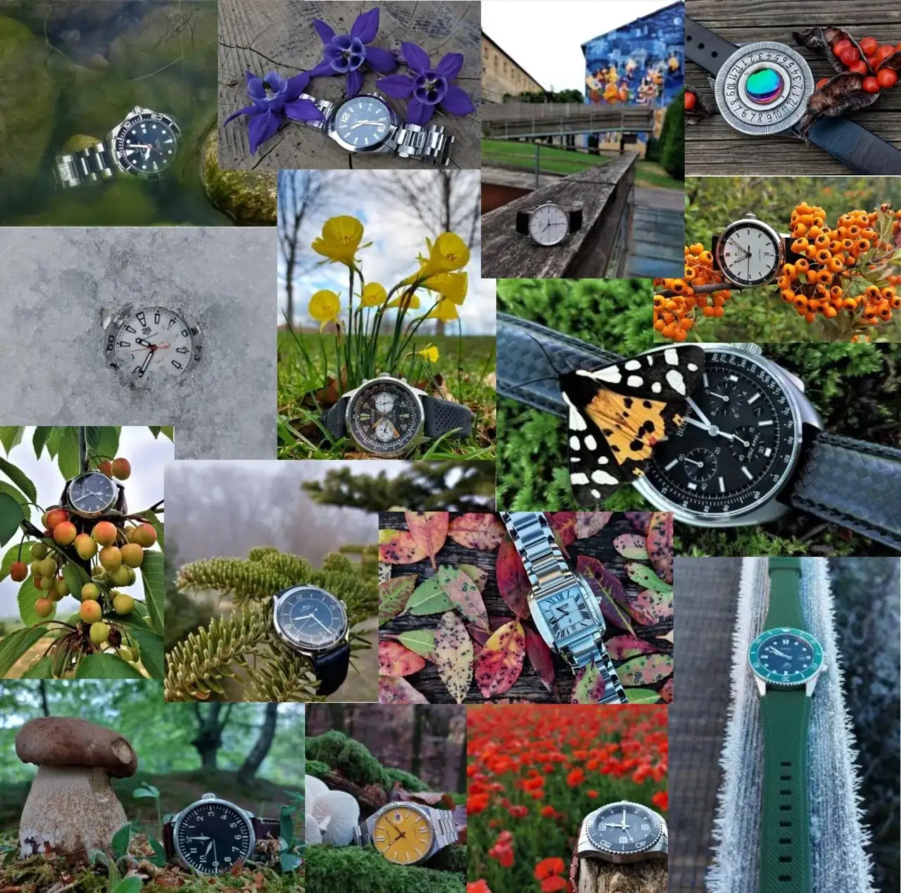 Prueba-collage-color JPG.webp