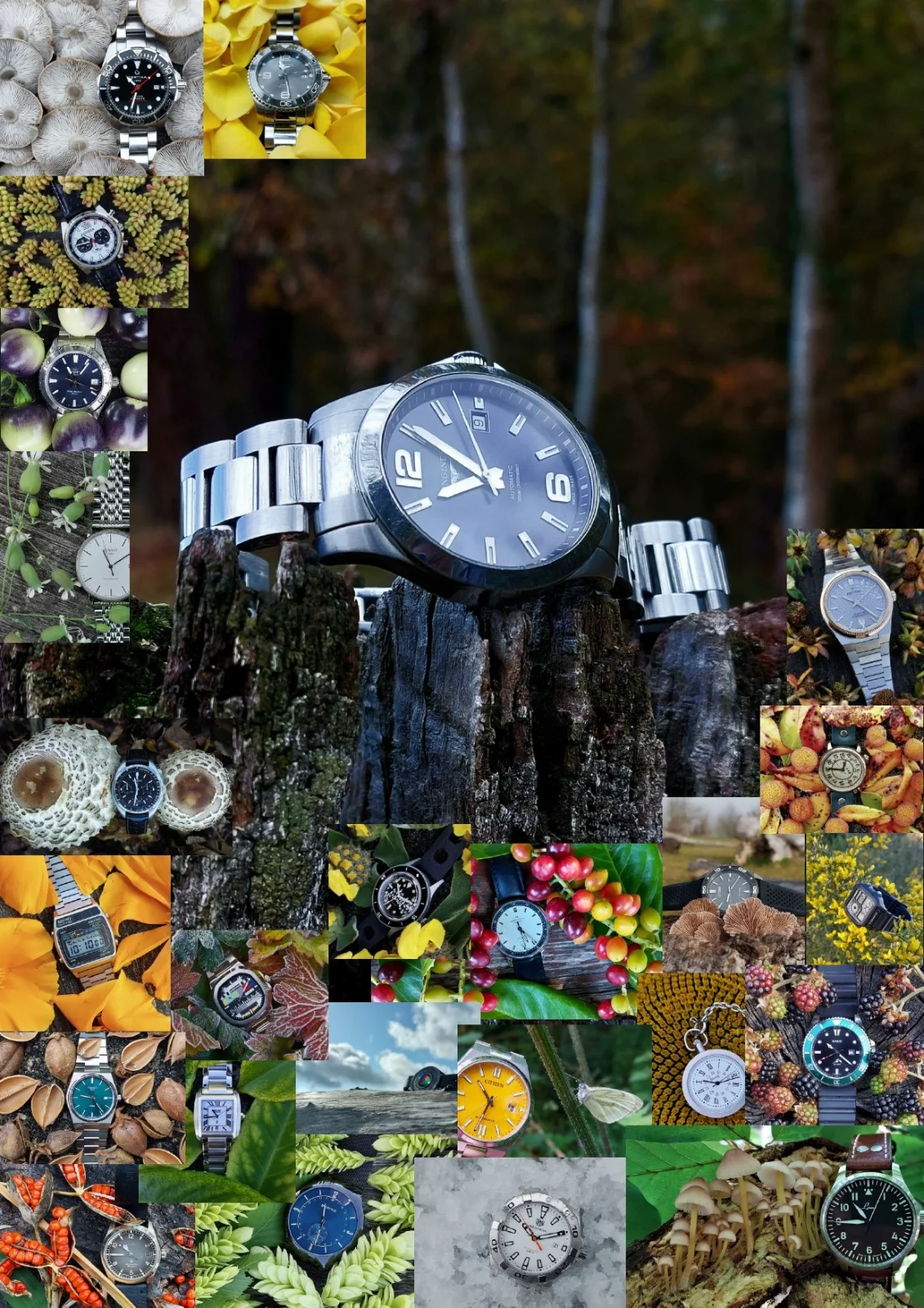 Prueba collage WordfINAL-JPG.webp