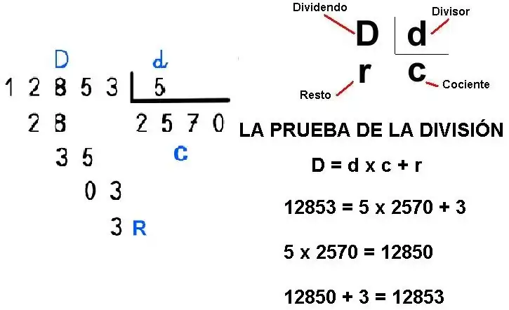 prueba-division.webp