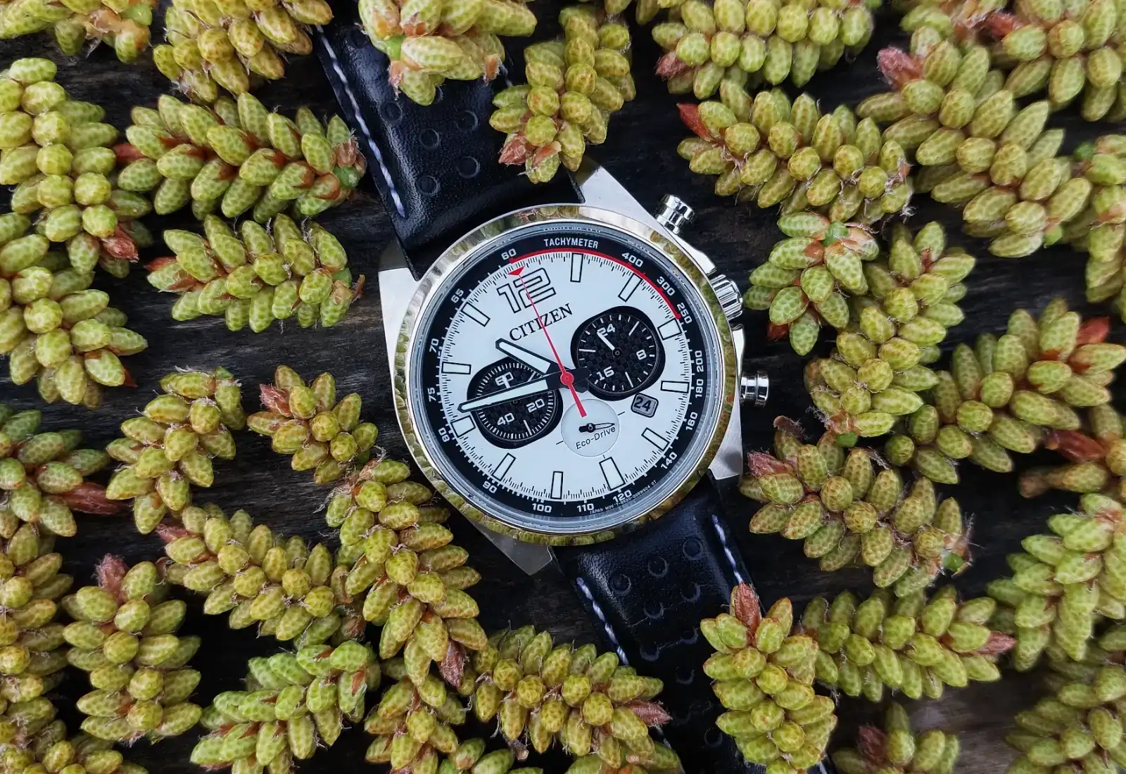 PRX20260316_114547 (2).webp