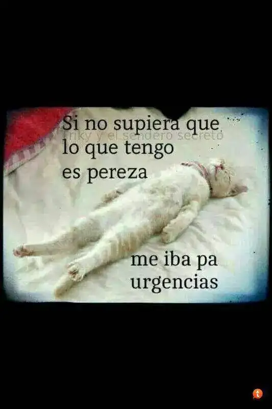 pu6evenu.webp
