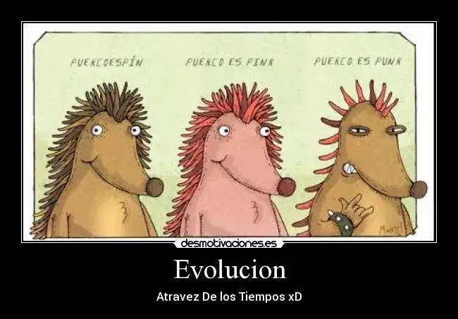 PuercoEspin.webp