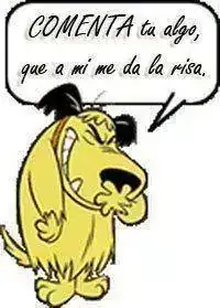 Pulgoso.webp