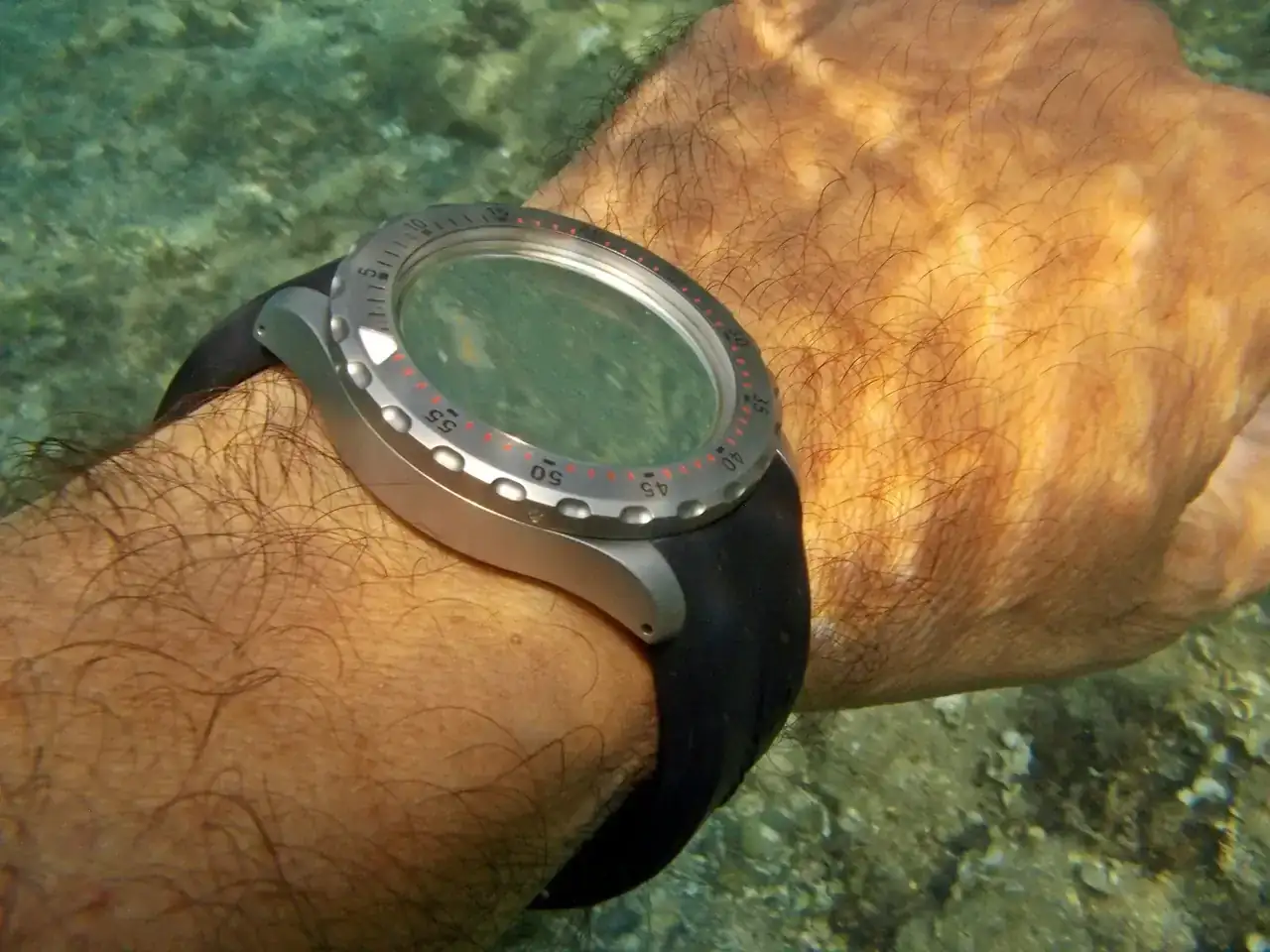 Pulpo_Beach-10.webp