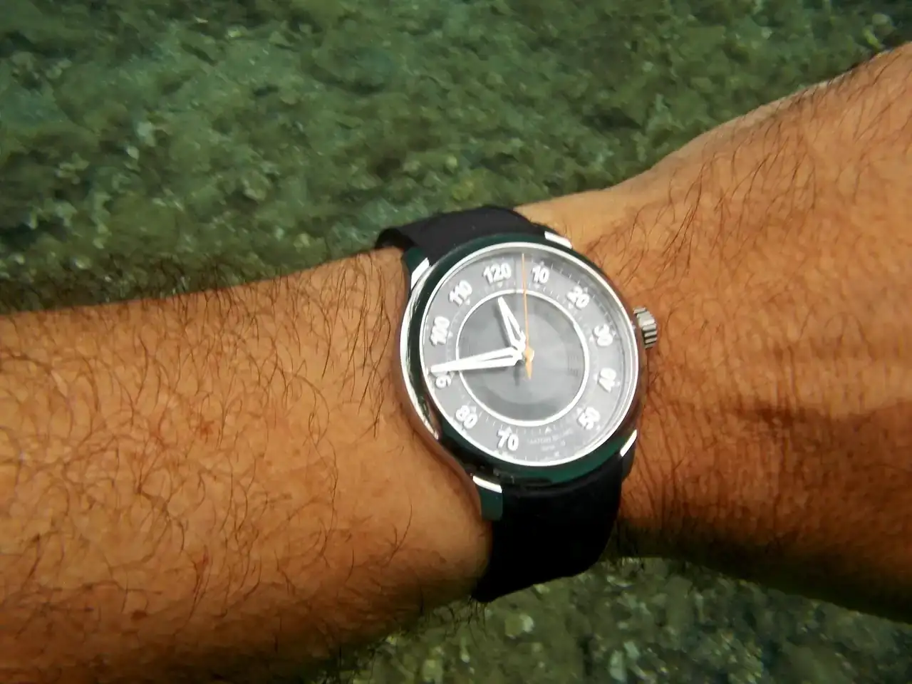 Pulpo_Beach-15.webp