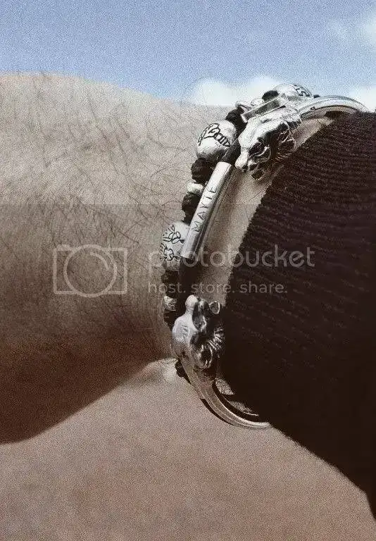 pulserasMedium.webp