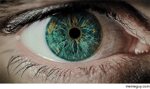 pupil-dilating-136358.gif