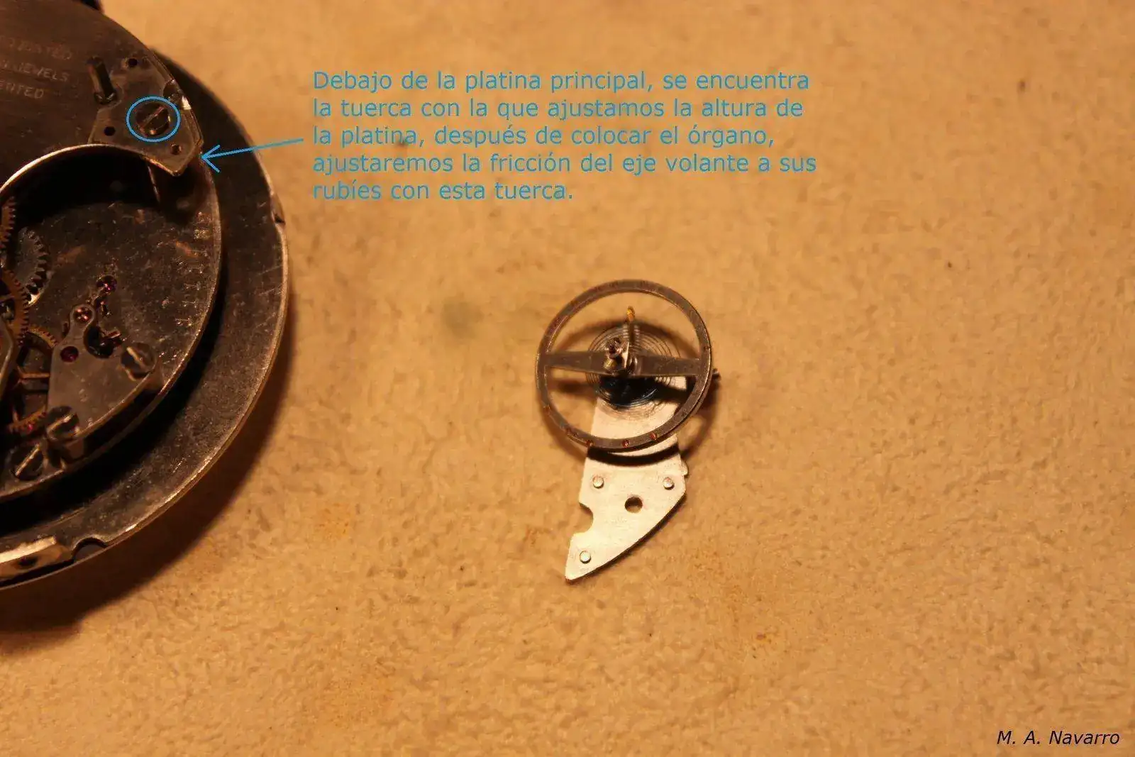 r94999979732.webp