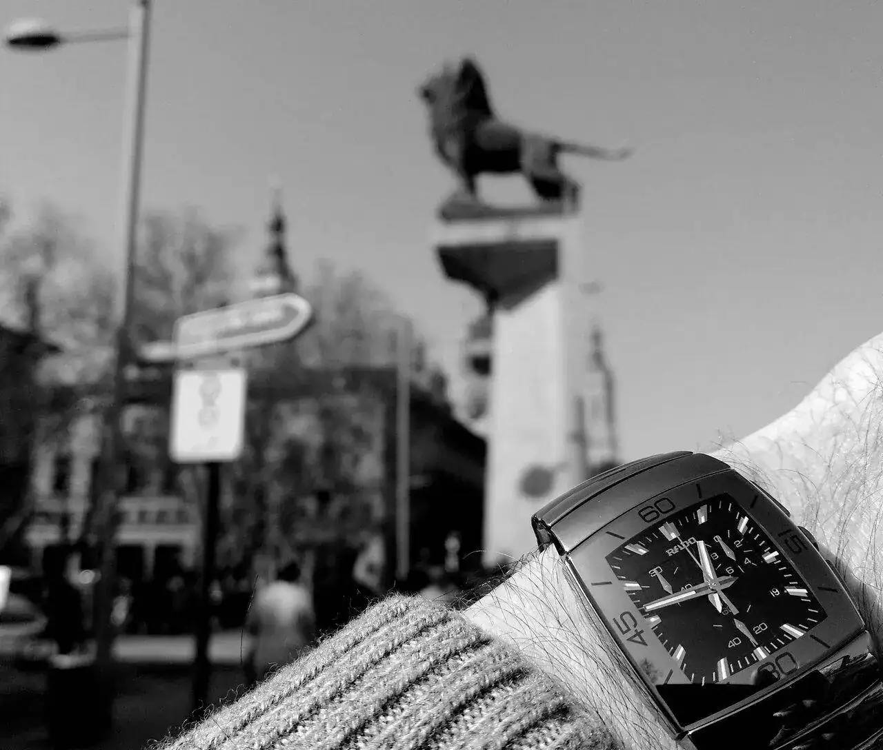 Rado para el foro bn.webp