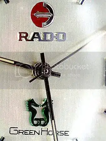 radoGreenHorse_04.webp