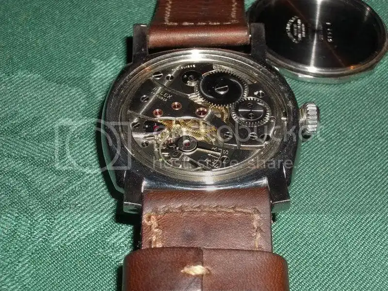 raduno095_2.webp