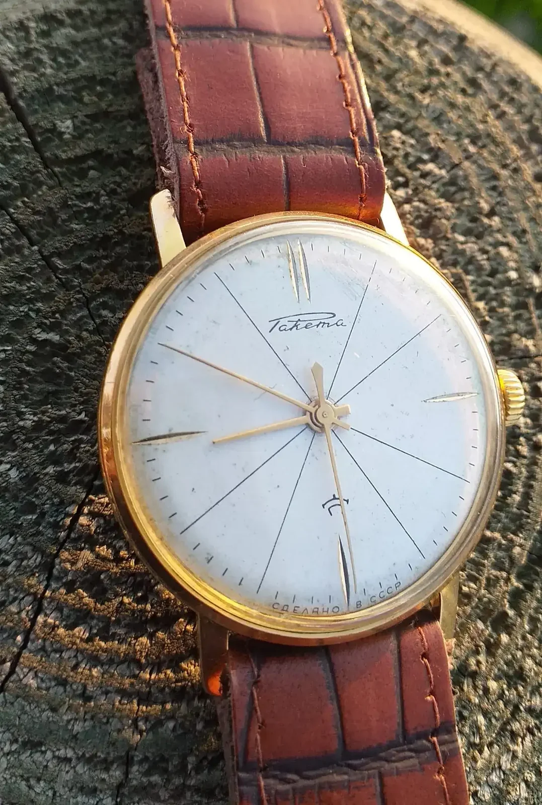 raketa vestir 2.webp
