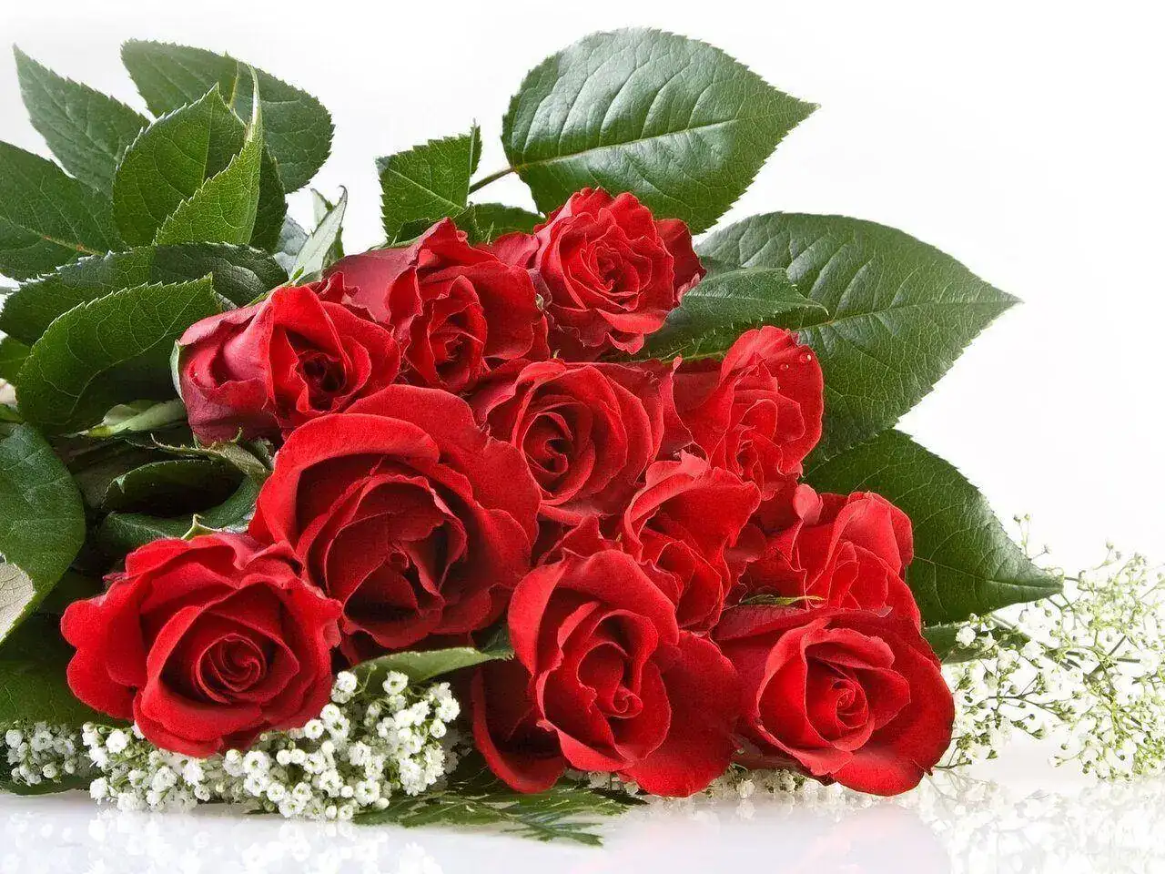 ramo-rosas-rojas.webp