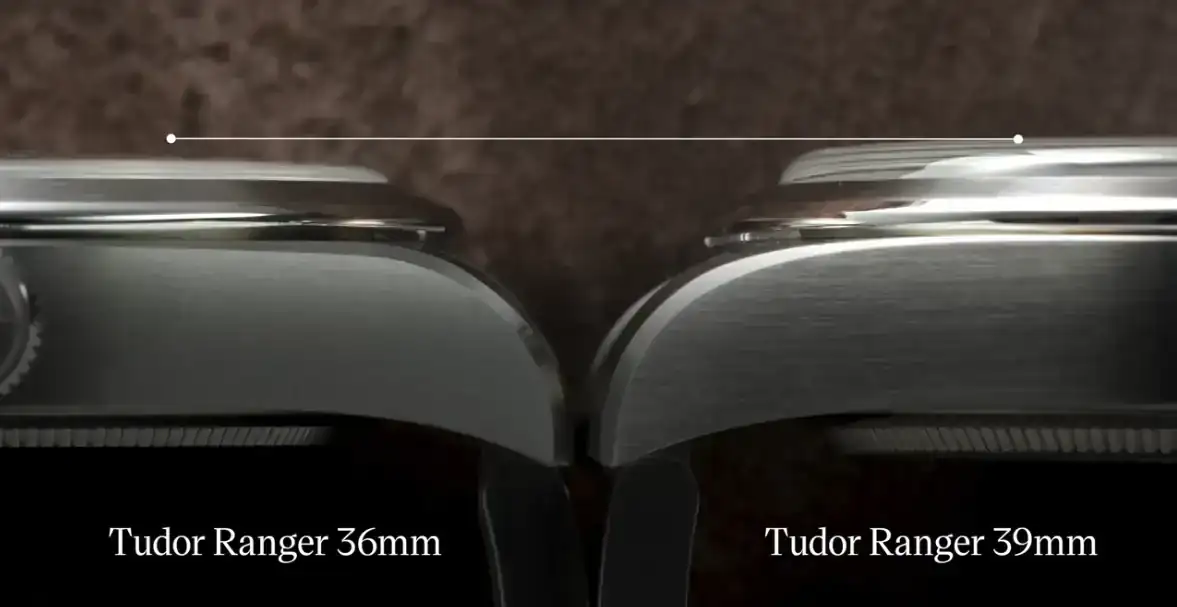 Ranger 36 vs 39.webp