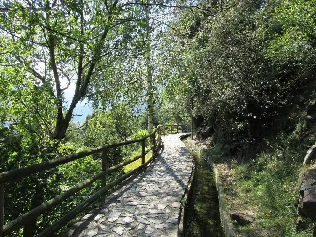 Rec Solà.webp