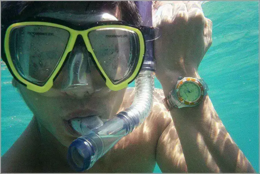 reef-03t.webp