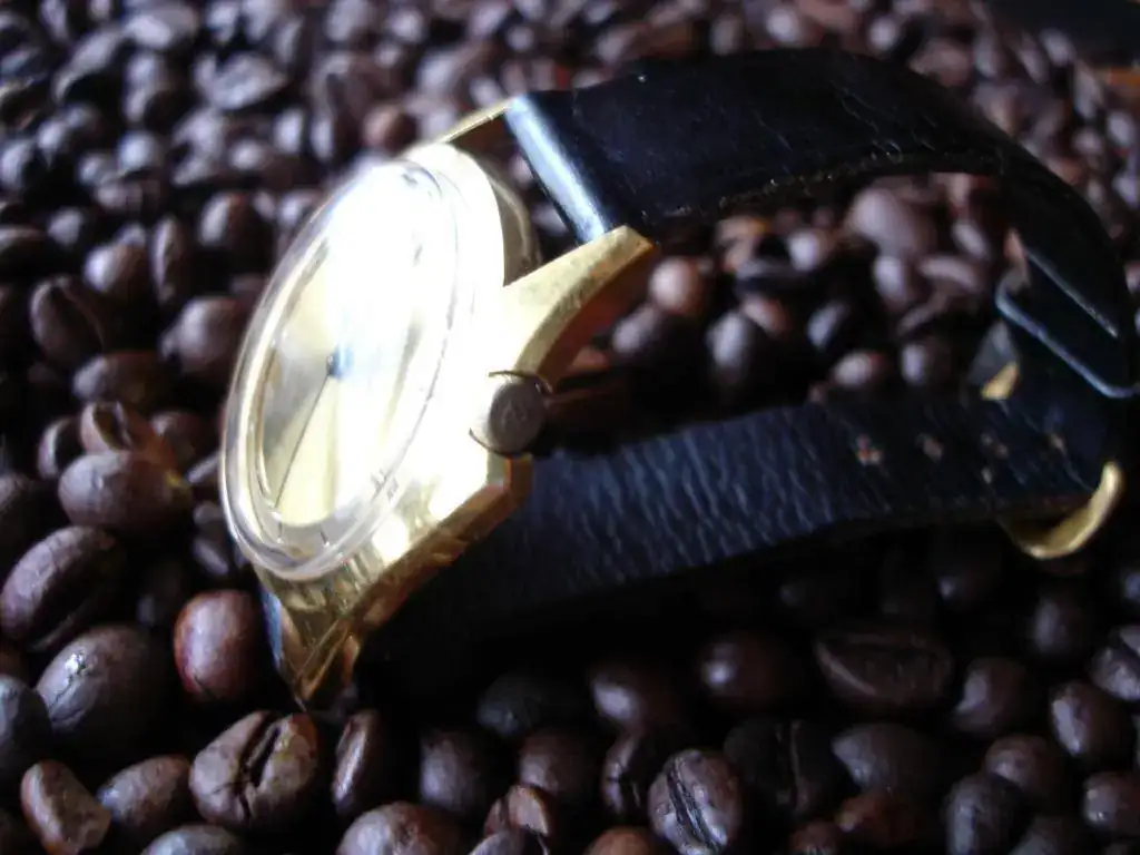 reflejo perfil derecho.webp