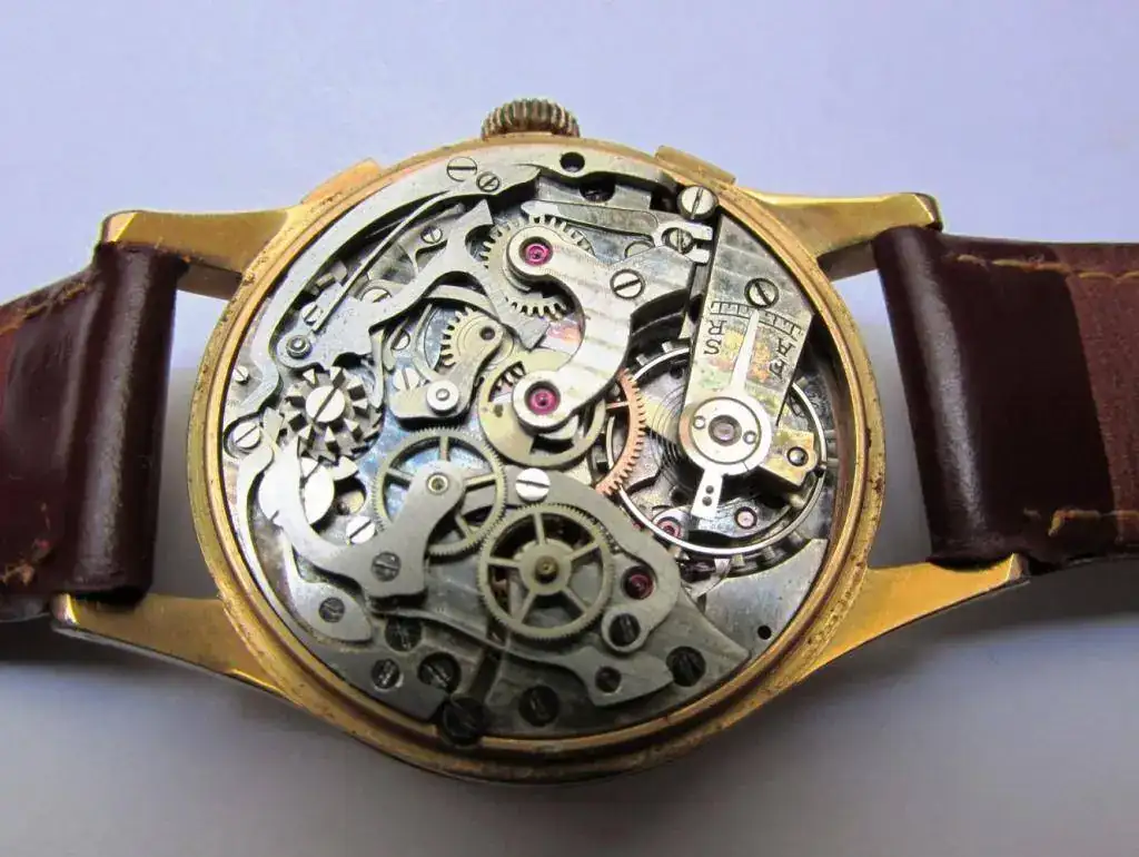 Reglia_V22_tempus157.webp
