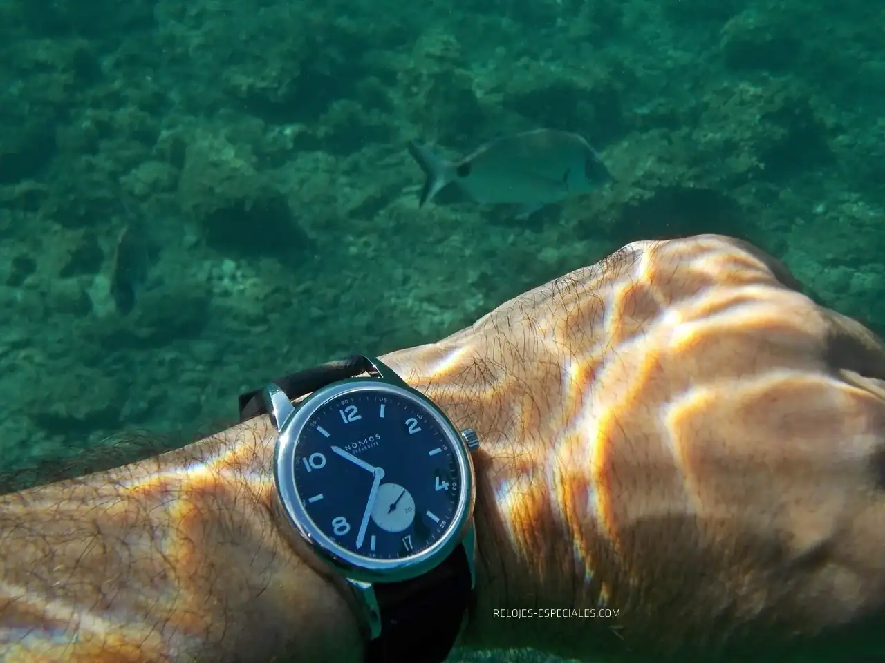 Reloj_diver1.webp
