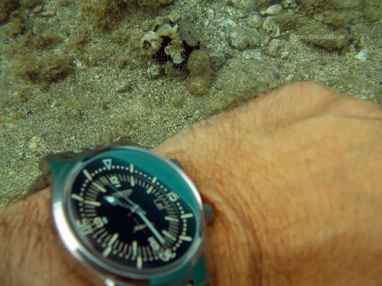 Reloj_diver15.webp