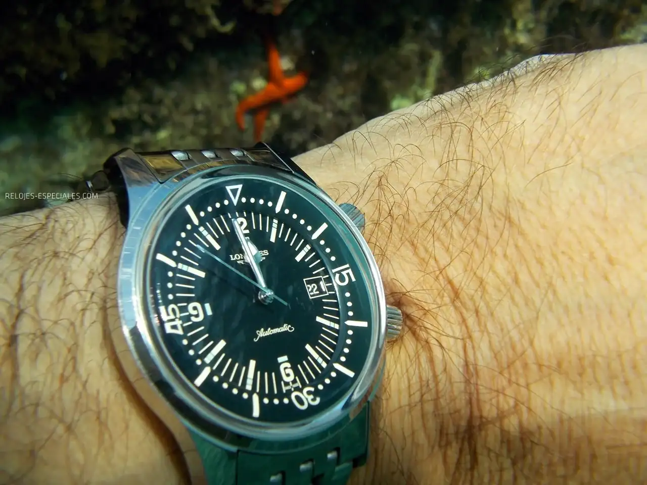 Reloj_diver17.webp