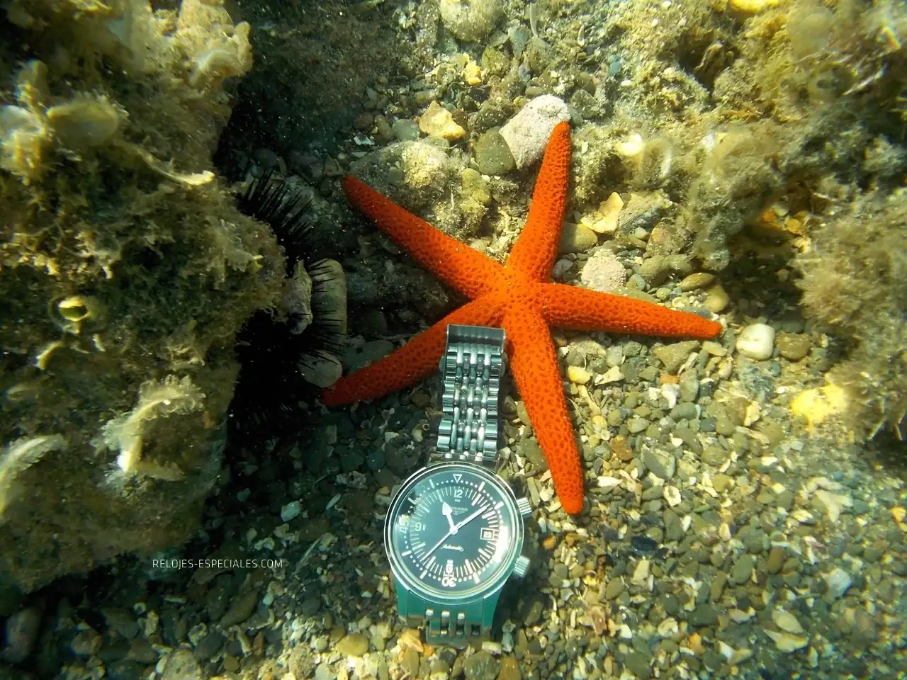 Reloj_diver18.webp