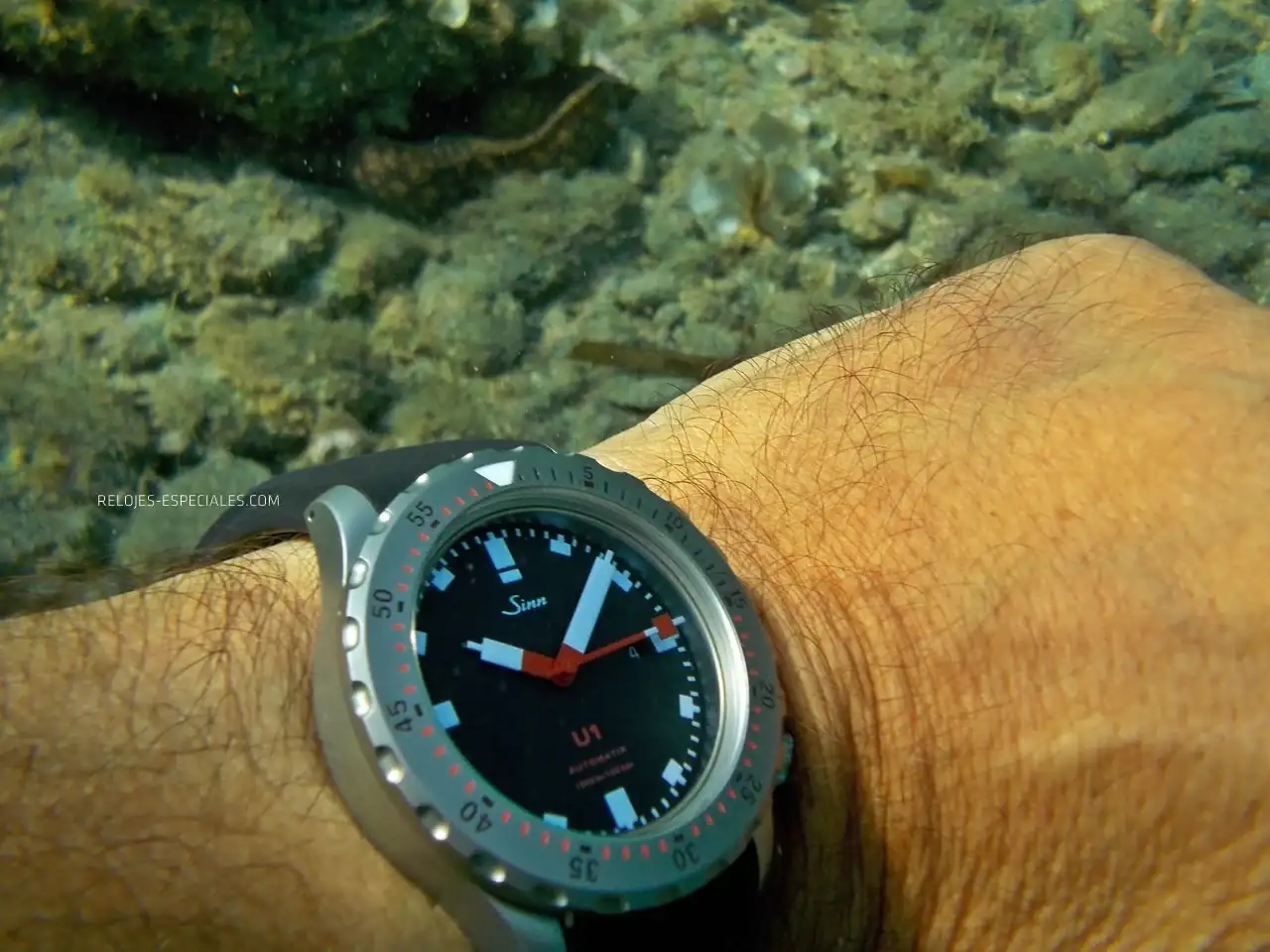 Reloj_diver25.webp