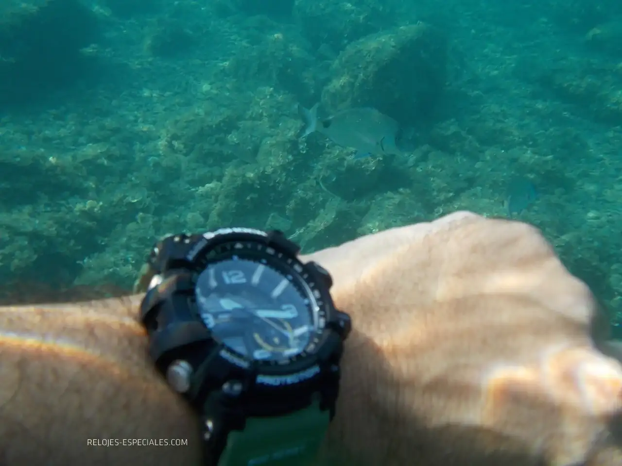 Reloj_diver30.webp