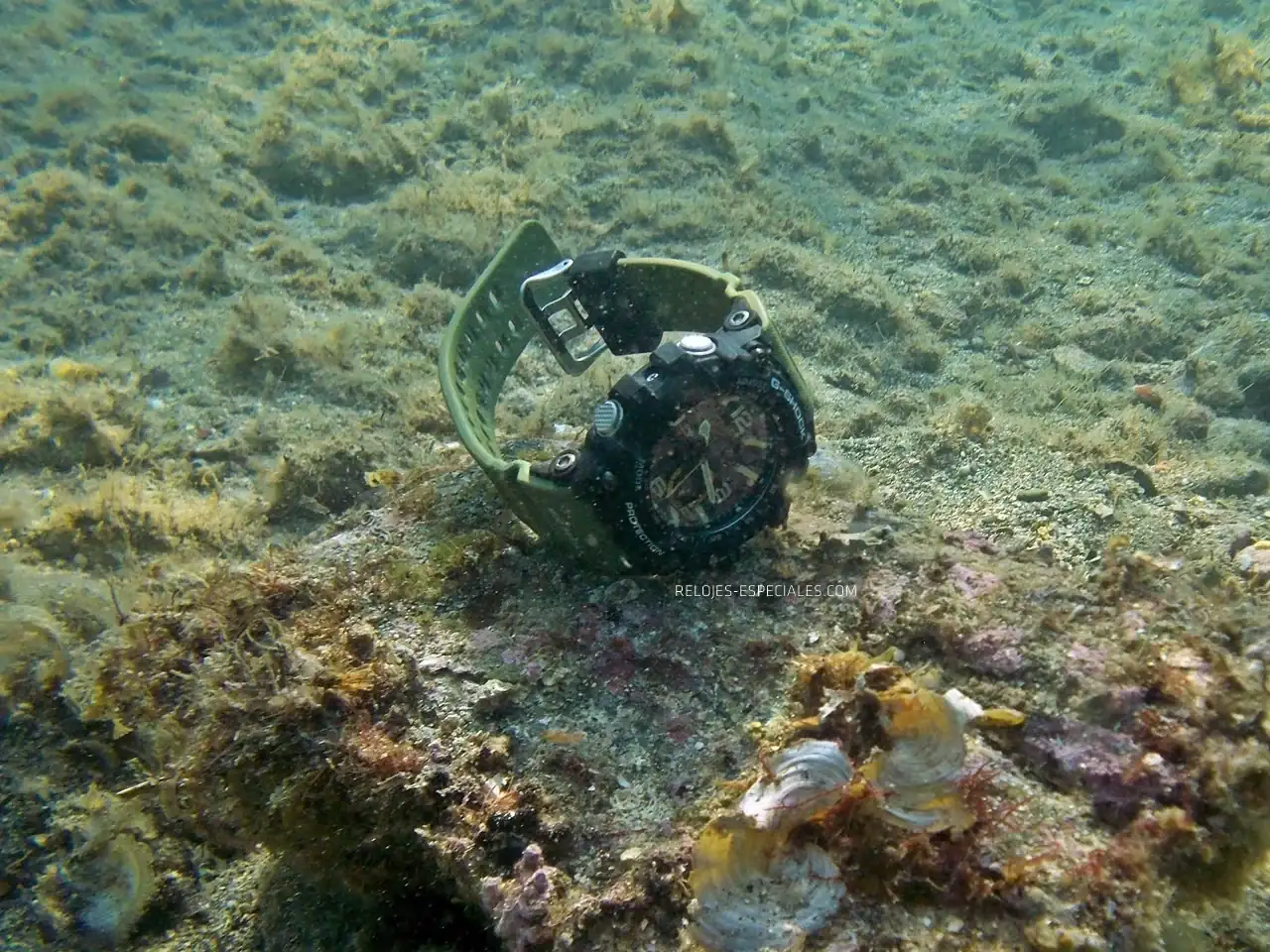 Reloj_diver4.webp