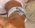 reloj_zps70a7f365.webp