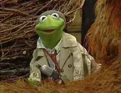 Reporter_Kermit_Big_Bird%27s_Story_Time.webp
