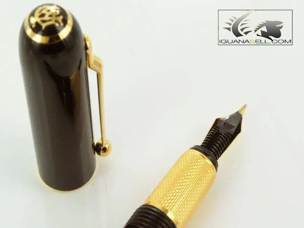 Resin-Sidecar-GP-Fountain-Pen-Gold-Trims-NUA1233-3.webp