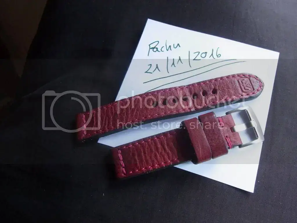 RIMG0016_zpspqcyxs5p.webp