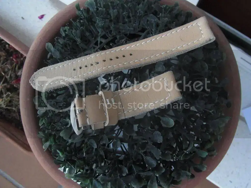 RIMG0018_zpsyustkhcg.webp