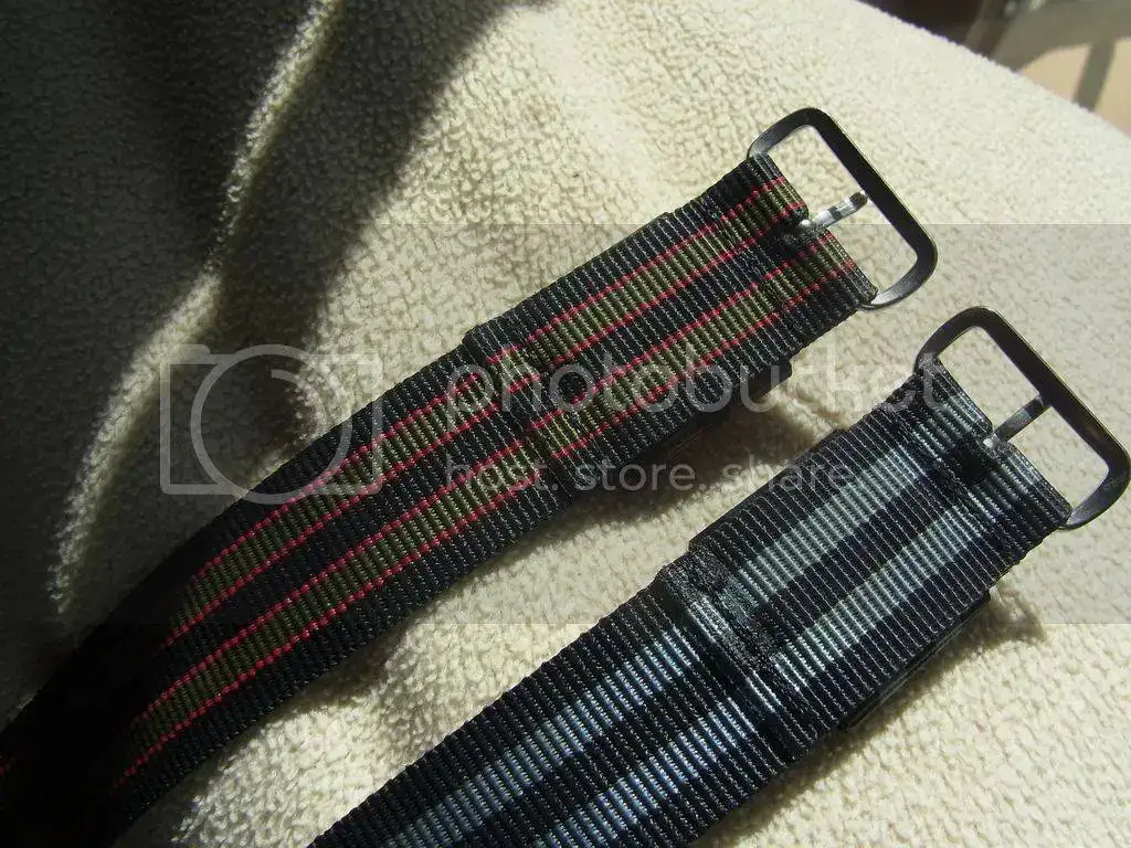 RIMG0019_zpssy9xtgib.webp