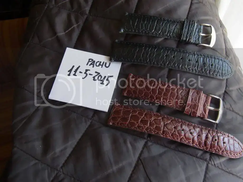 RIMG0021_zpso19ohpdn.webp