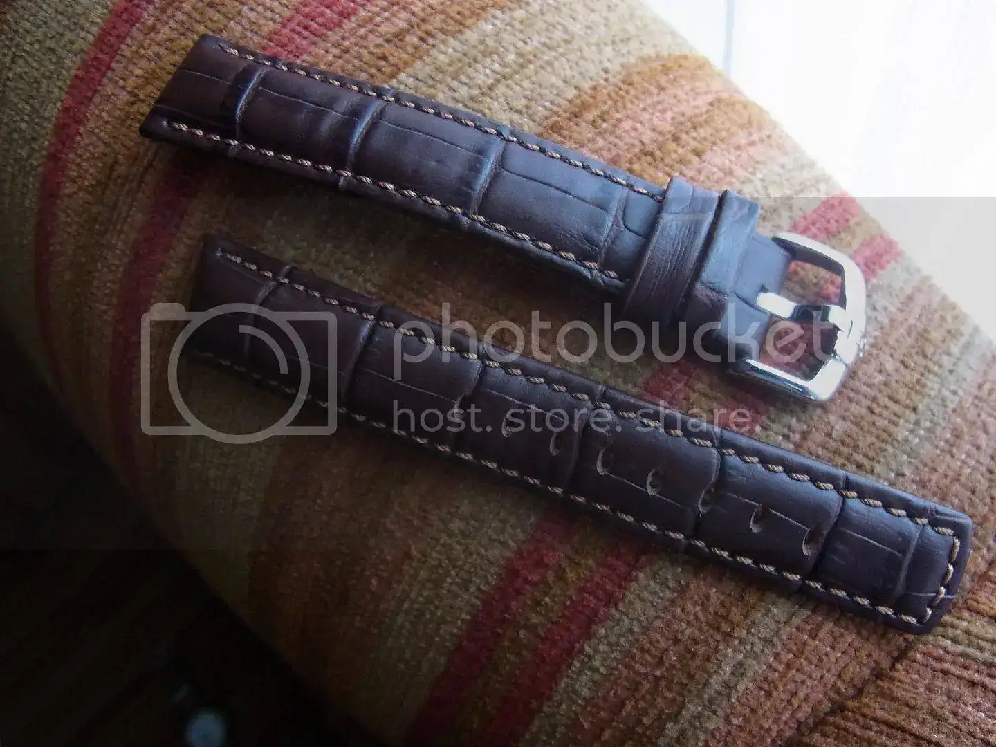RIMG0022_zpskricetwv.webp
