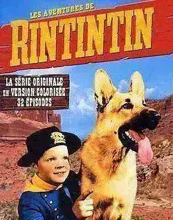 rintintin01.webp