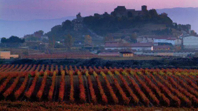 rioja04-800x450.webp