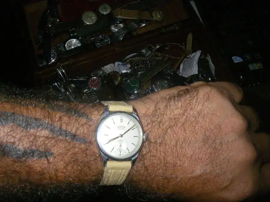 roamer a.webp