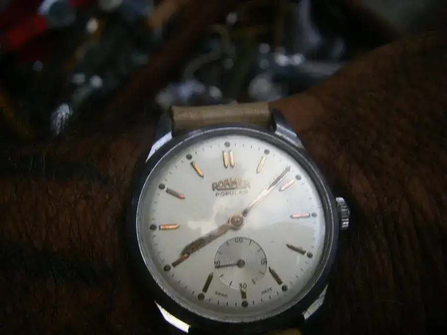 roamer b .webp
