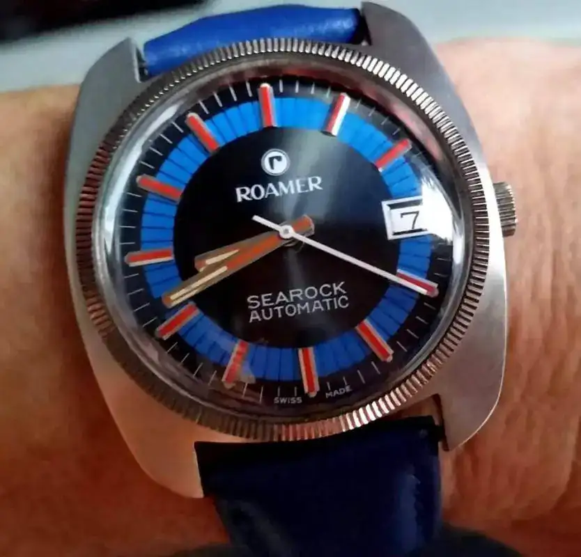 roamer..webp