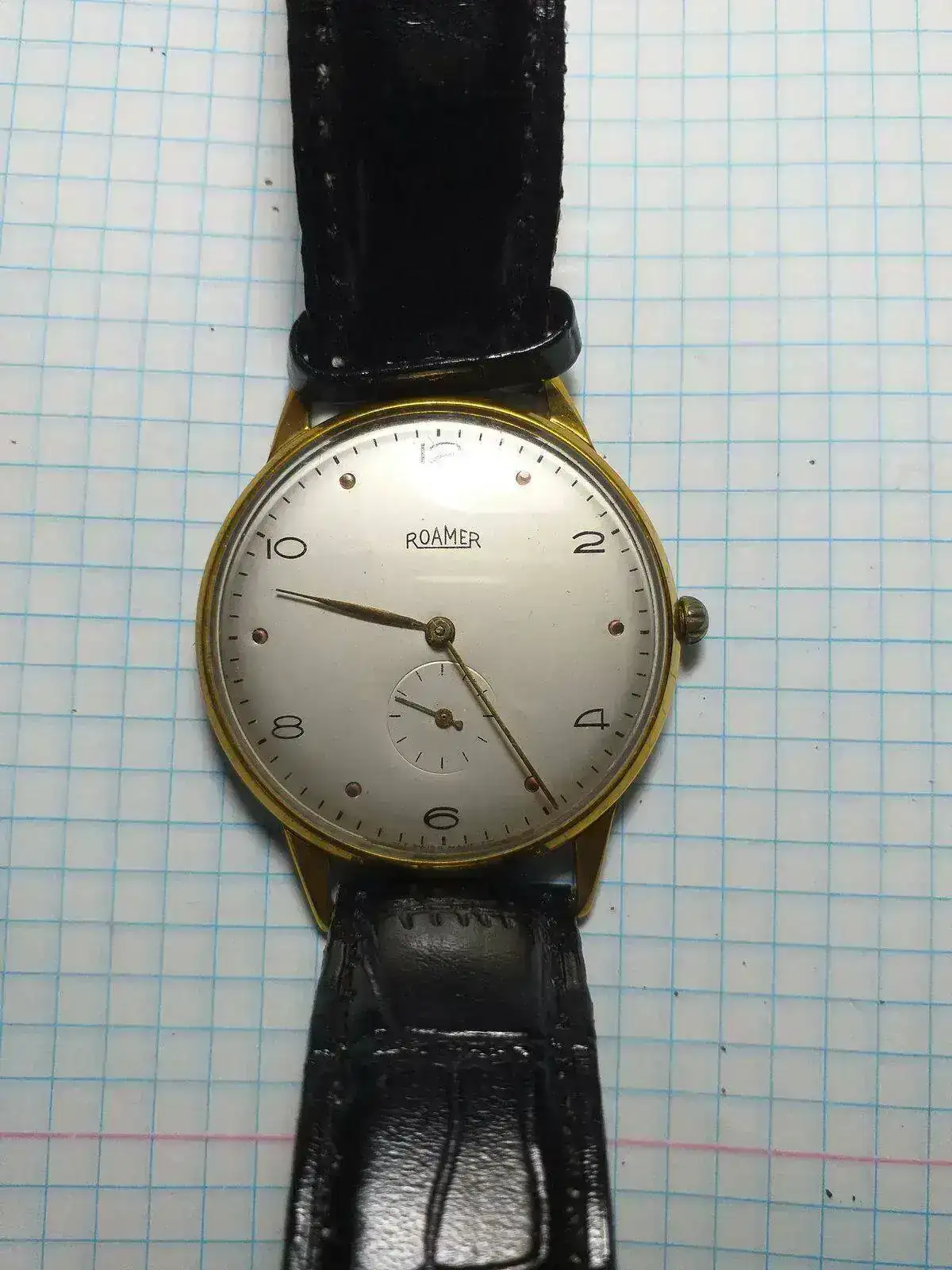 Roamer.webp