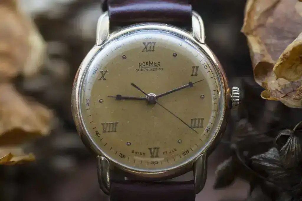 Roamer_2.webp