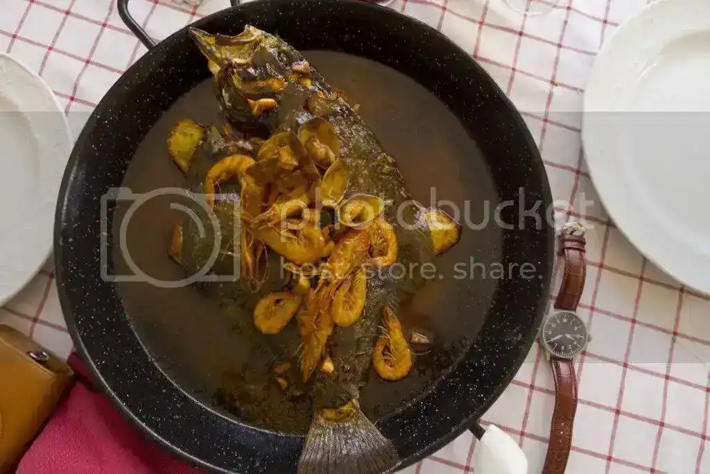 rodaballo1024x768.webp
